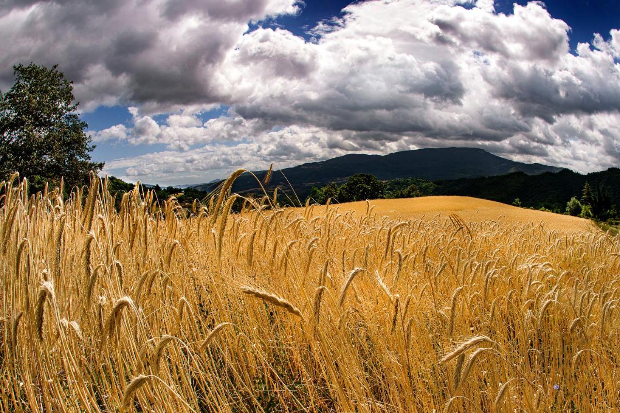 Agriturismo Biologico Autosufficienza Bagno di Romagna Buitenkant foto