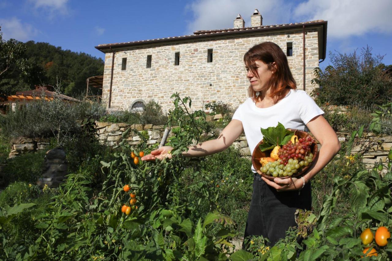 Agriturismo Biologico Autosufficienza Bagno di Romagna Buitenkant foto