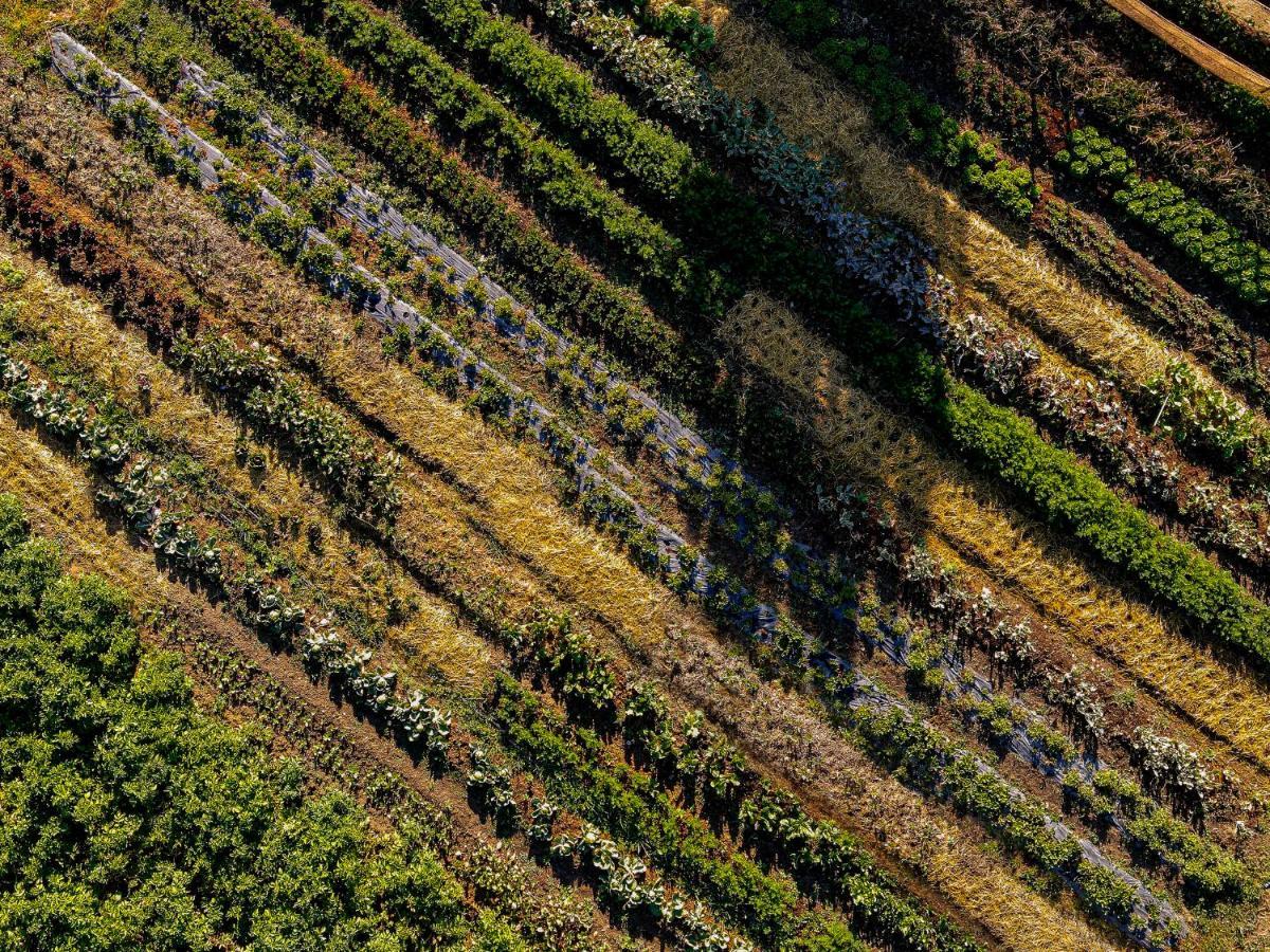 Agriturismo Biologico Autosufficienza Bagno di Romagna Buitenkant foto